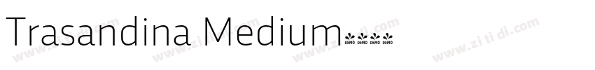 Trasandina Medium字体转换